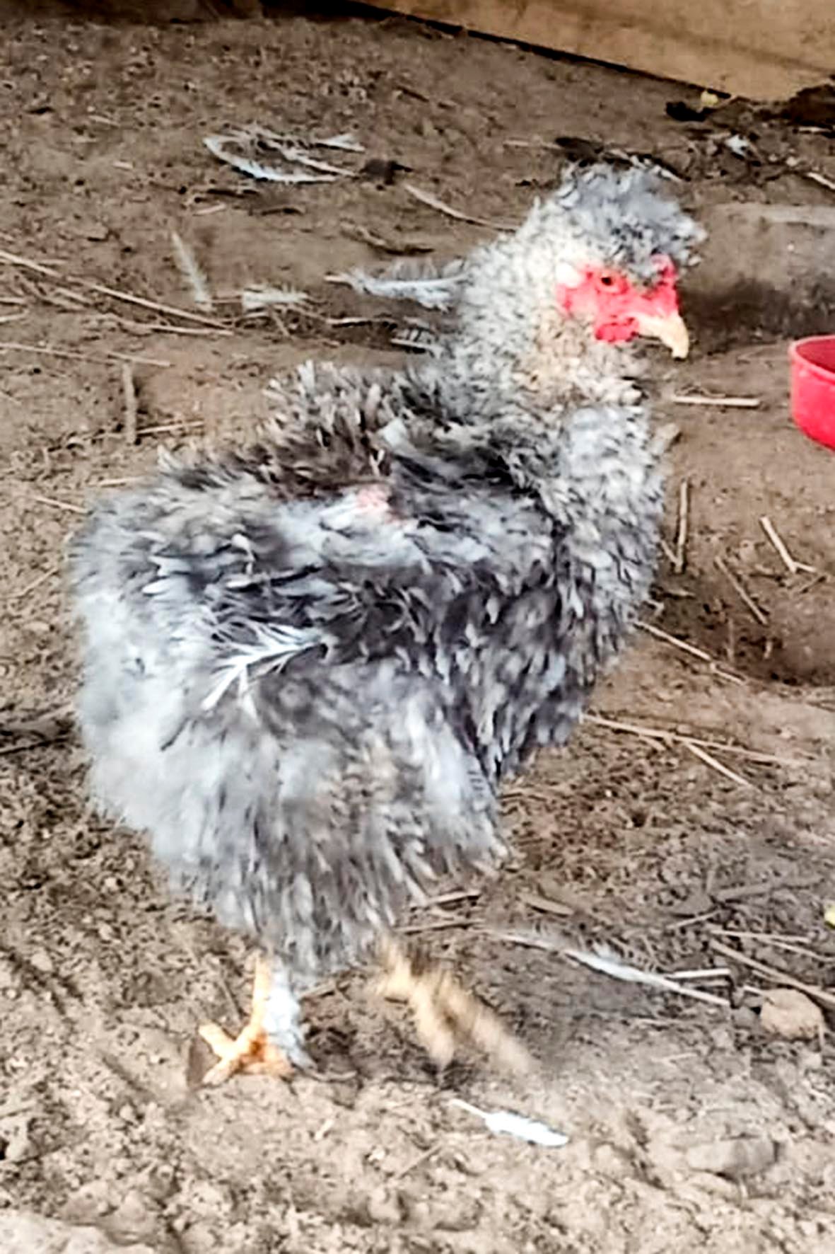 WhatsApp Image 2025-04-03 at 7.35.05 PM copia.jpg